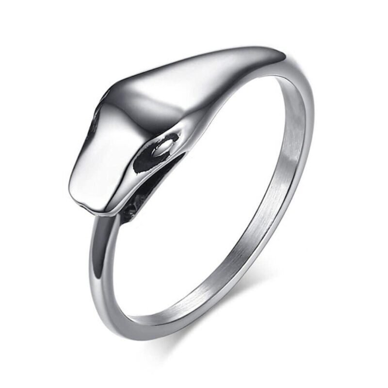 Silver Ouroboros Ring